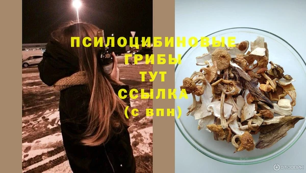 молекула духа Вязьма